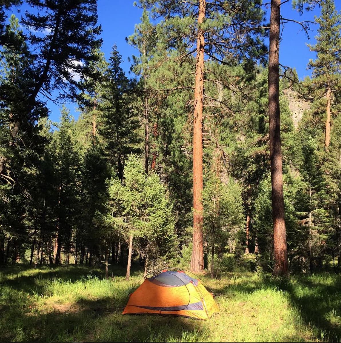 Harry's Flat Campground