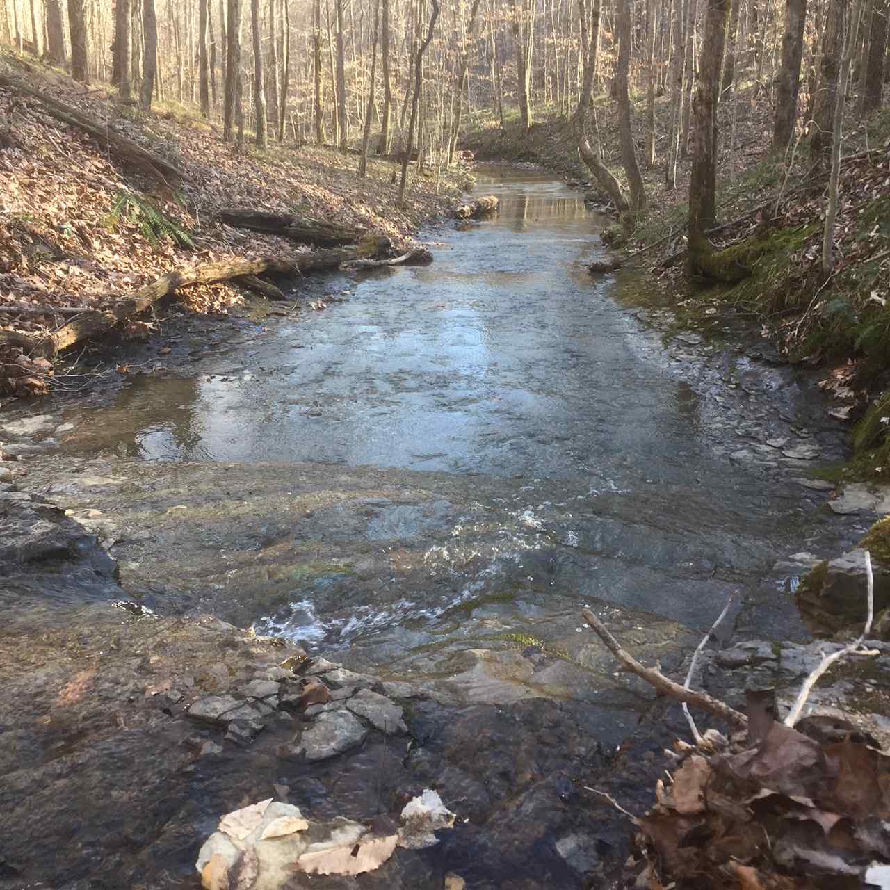 I am guilty of laying in a hammock all day next to this creek. It will put anyone to sleep.