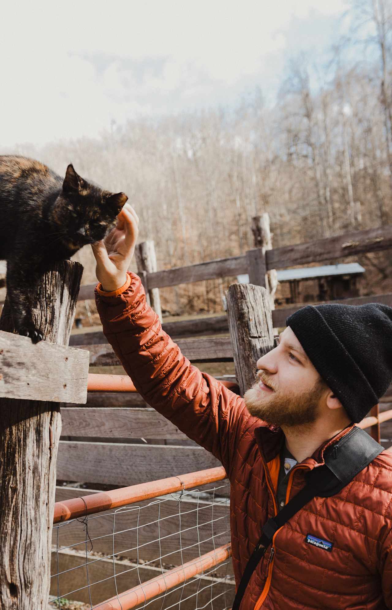 This cat was always wanting attention