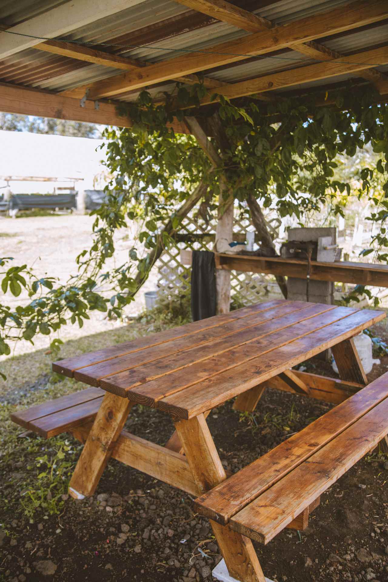 Picnic table to enjoy a meal 