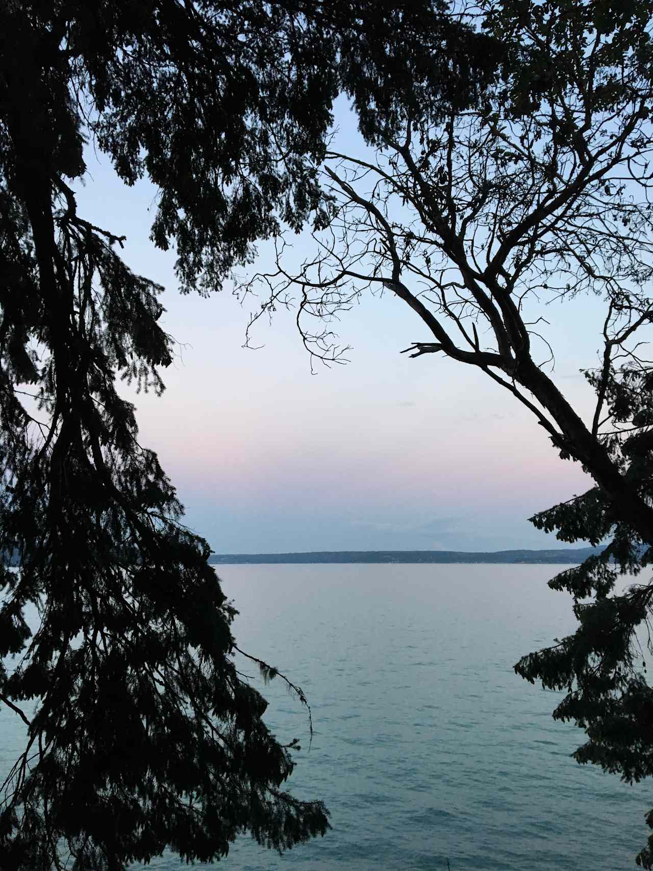 Seal Rock Campground