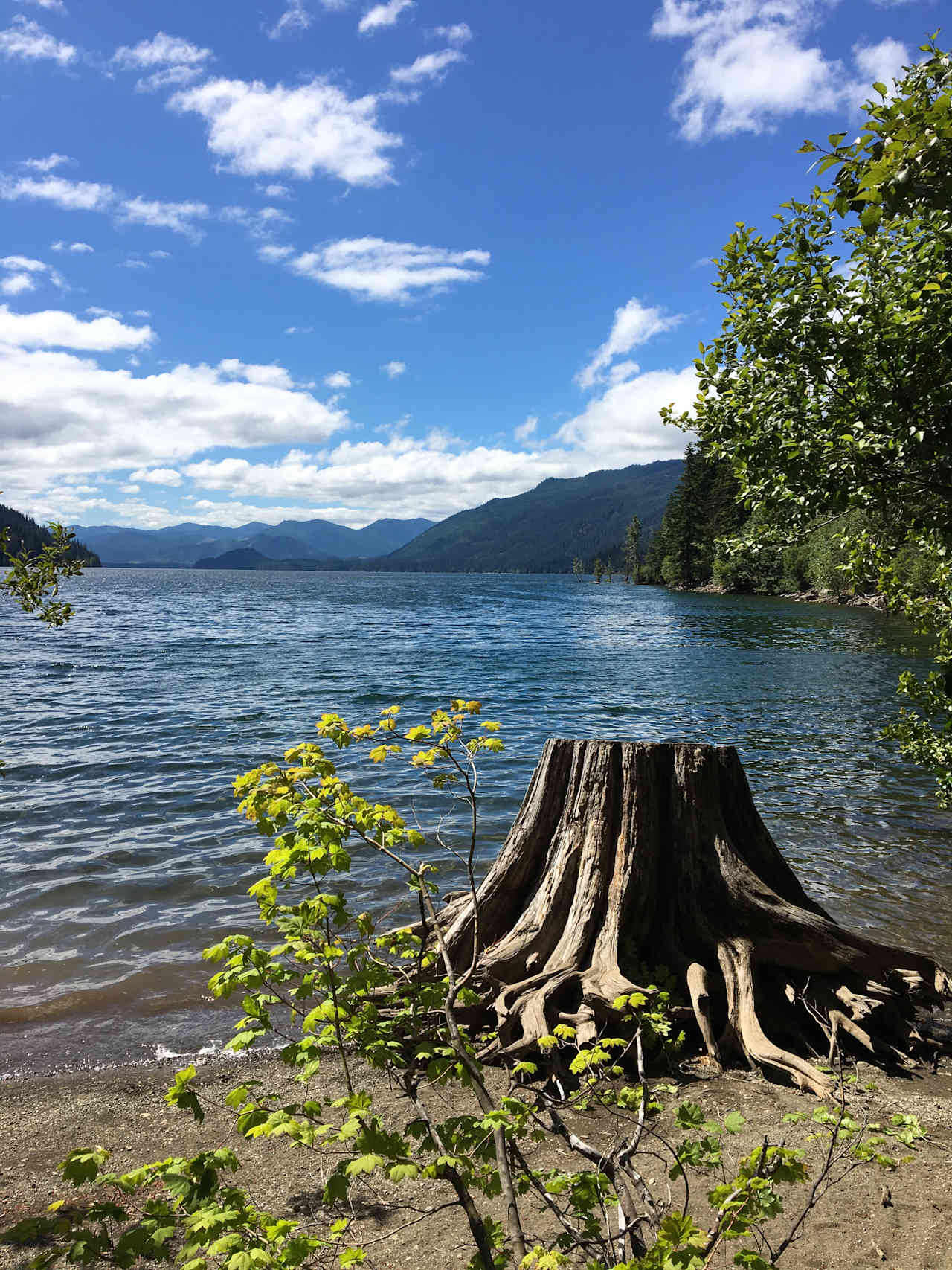 Kachess Campground