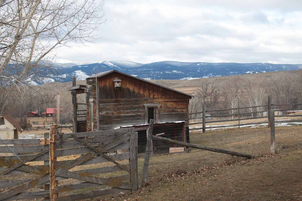 Chicken coop with a view.