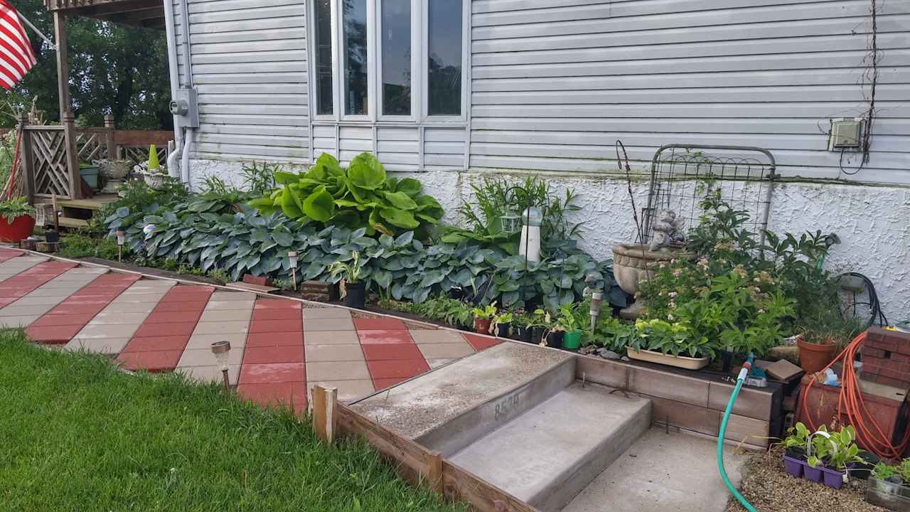 Hosta bed lines the front walkway.