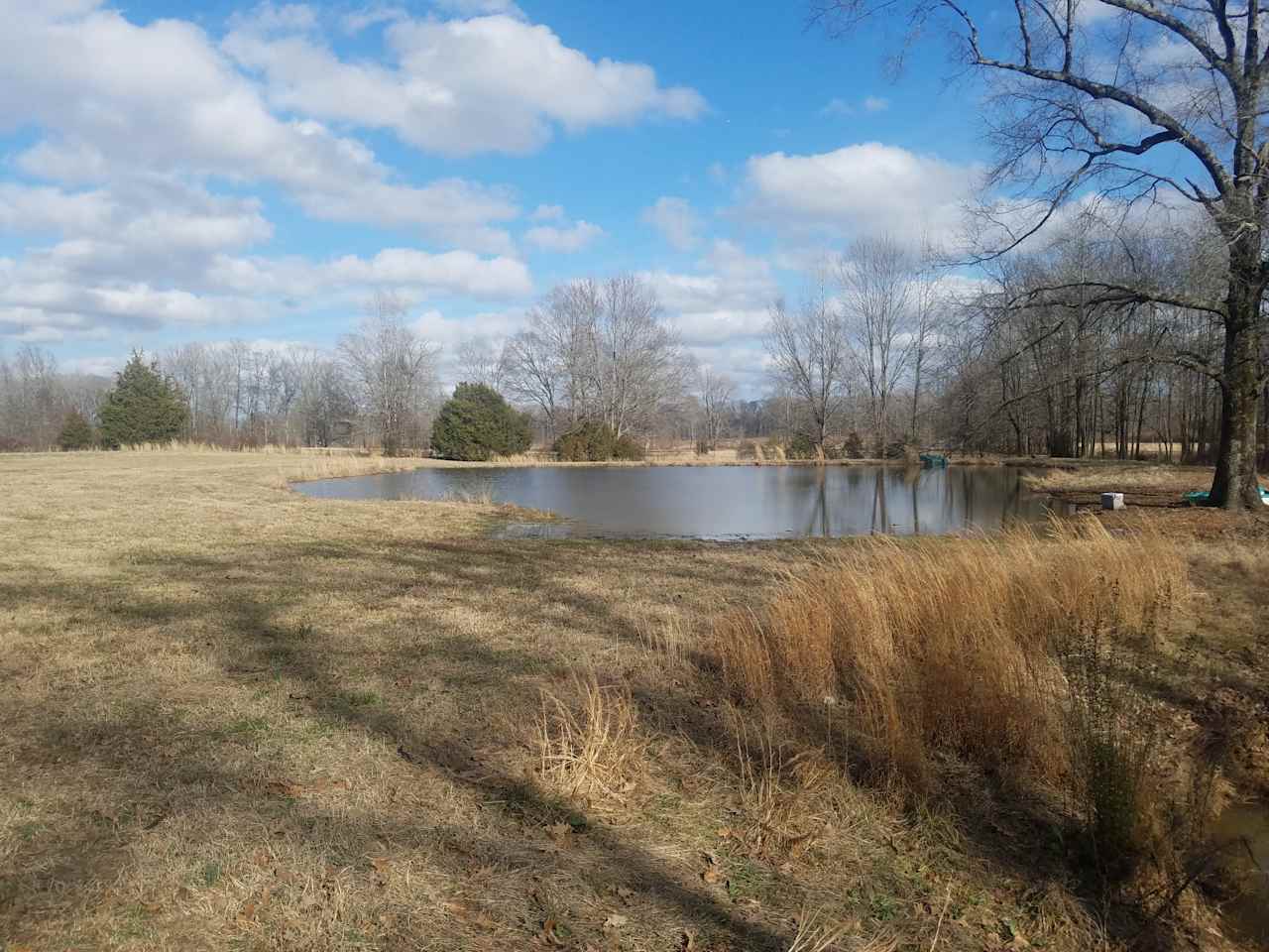 The front pond