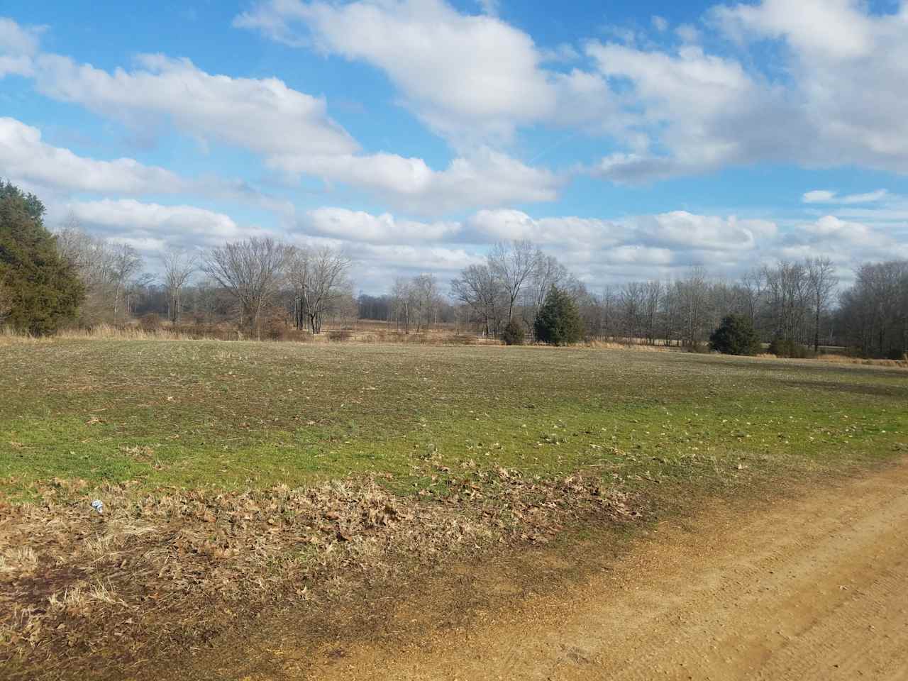 The front pasture.