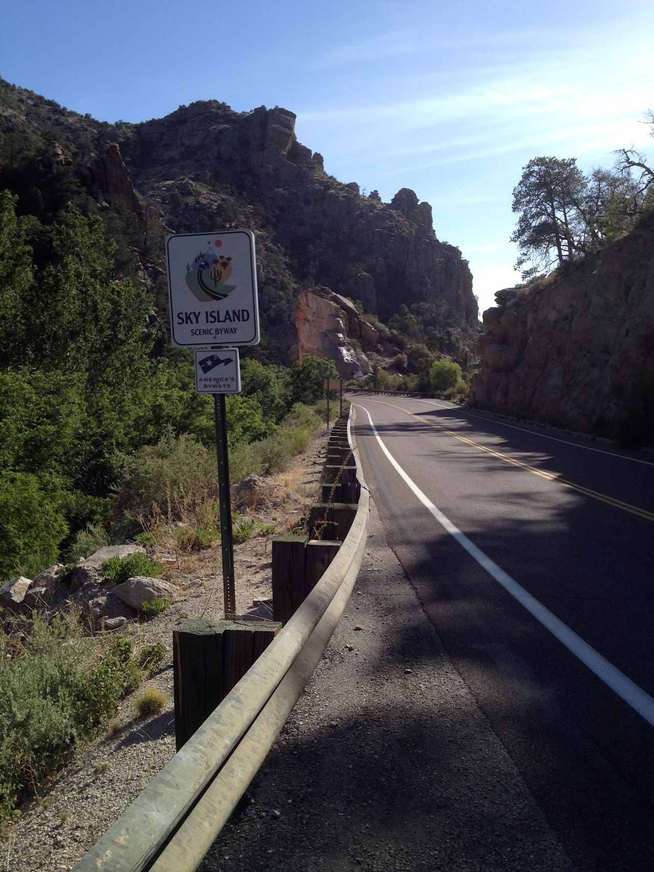 Campsite along Sky Islands Scenic Byway