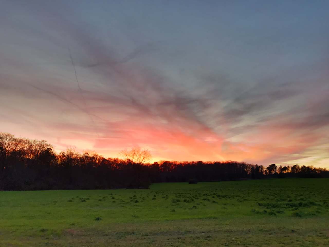 Summer evenings by the field 