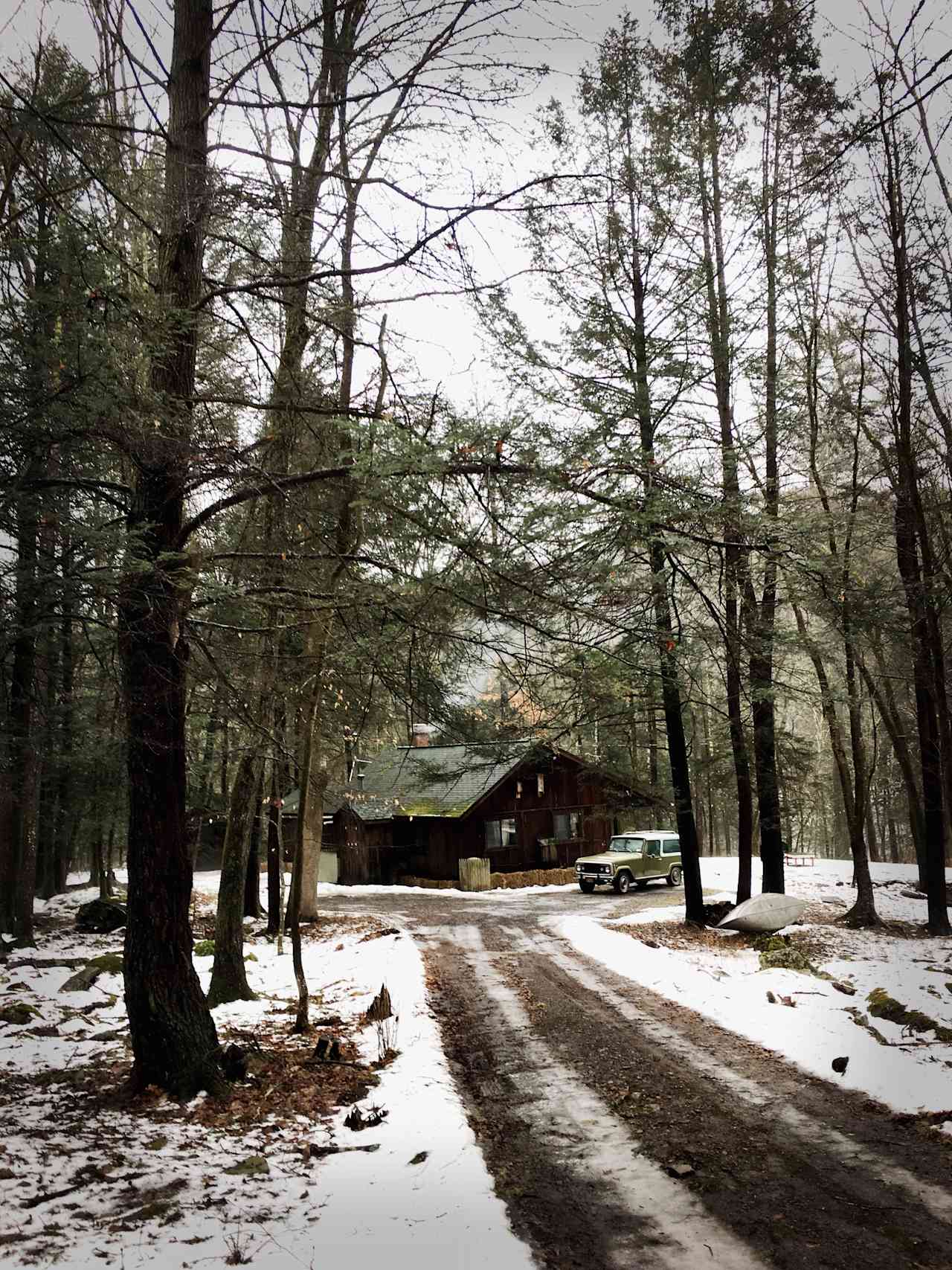 Seclusion down wooded driveway.