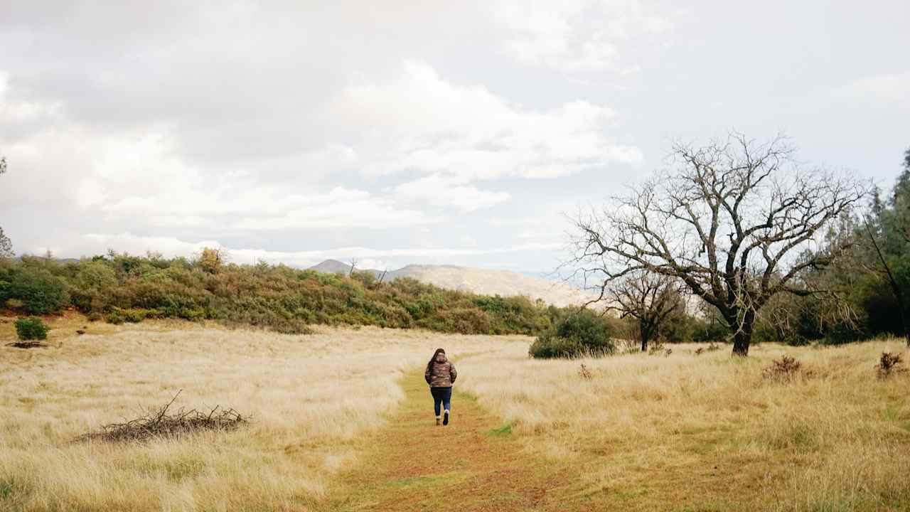 Hiking trail right next to the house 