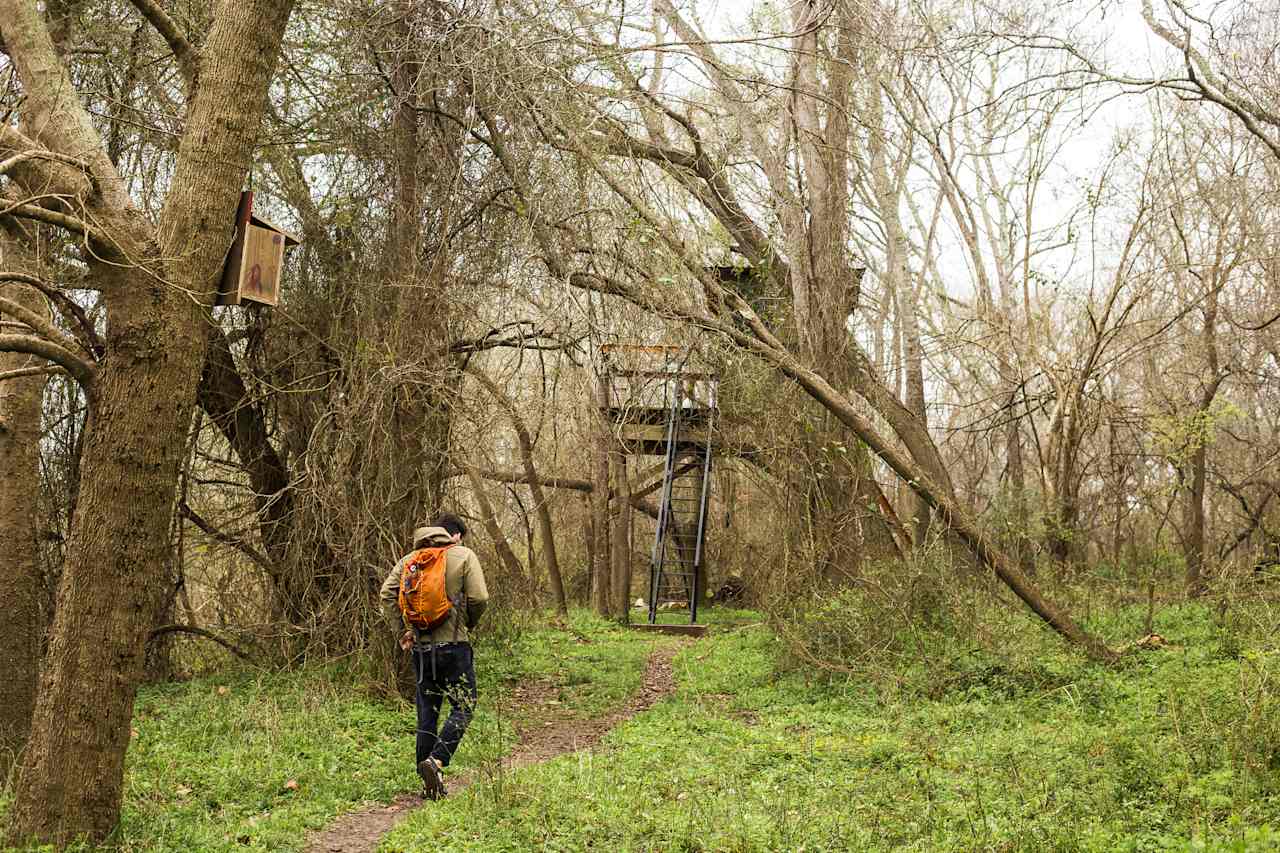 Walking along the trail from the campsite area toward the treehouse.