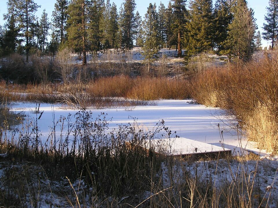 Blu Silver Pond w/dock for fishing and paddling activities. Exclusive access comes with the cabin at Campsite 2.