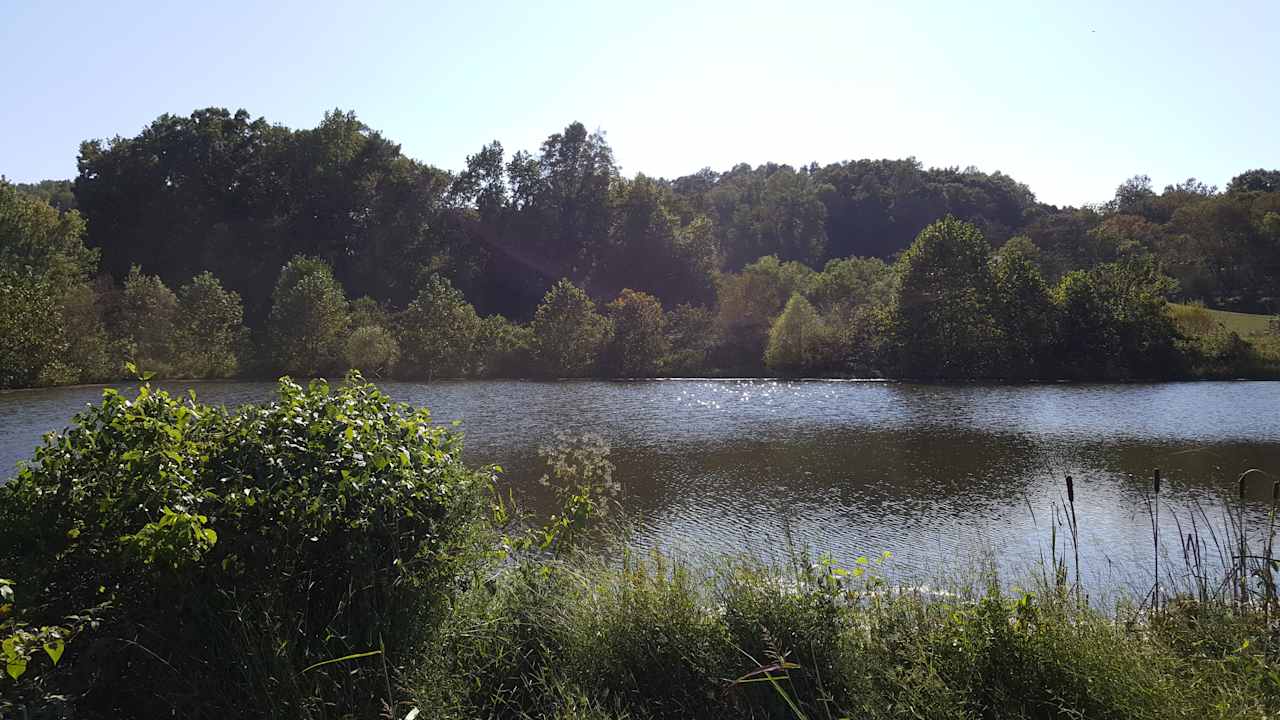 Two plus acre pond, relaxation at it's finest