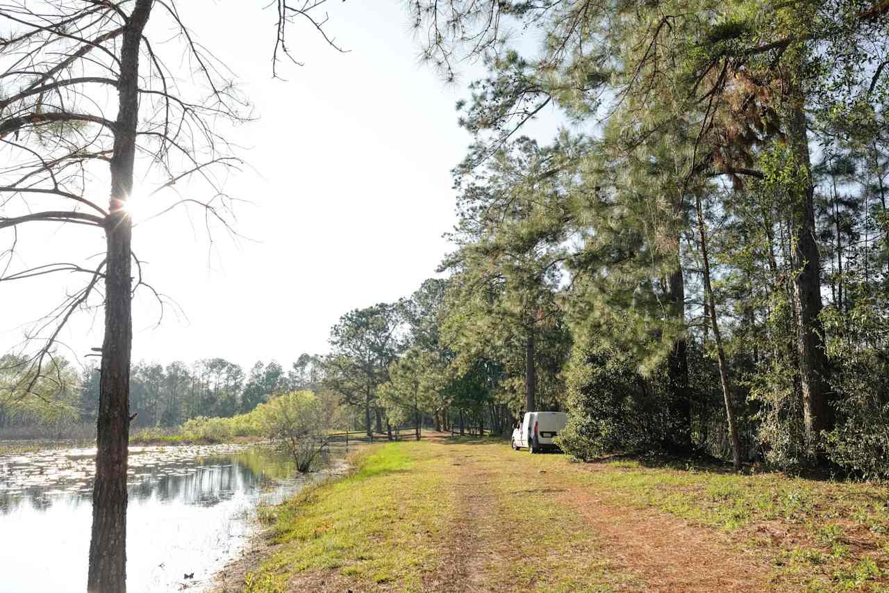 There were many places on the property great for car or tent camping!