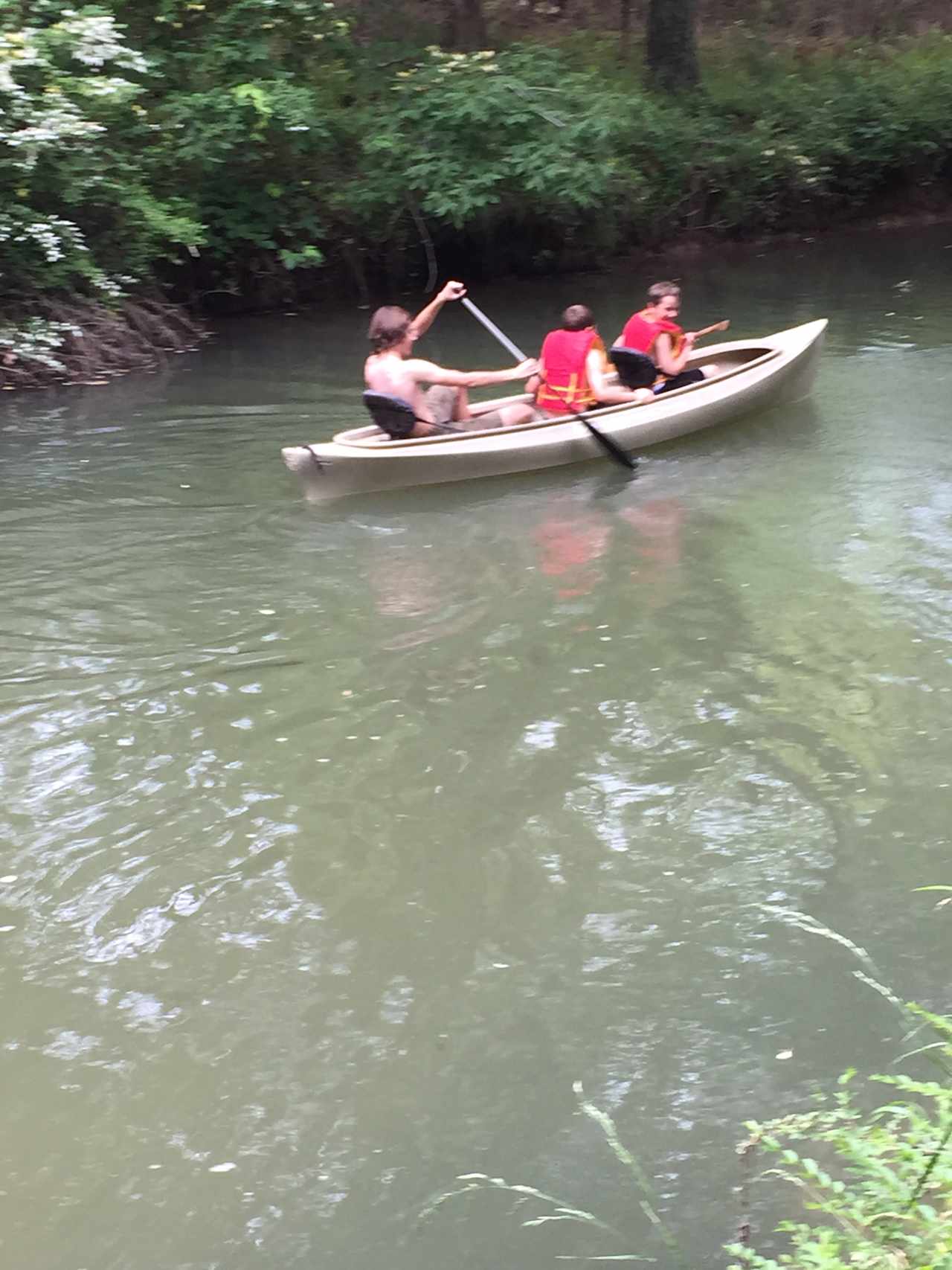 Canoeing is the Creek with Boy Scouts.