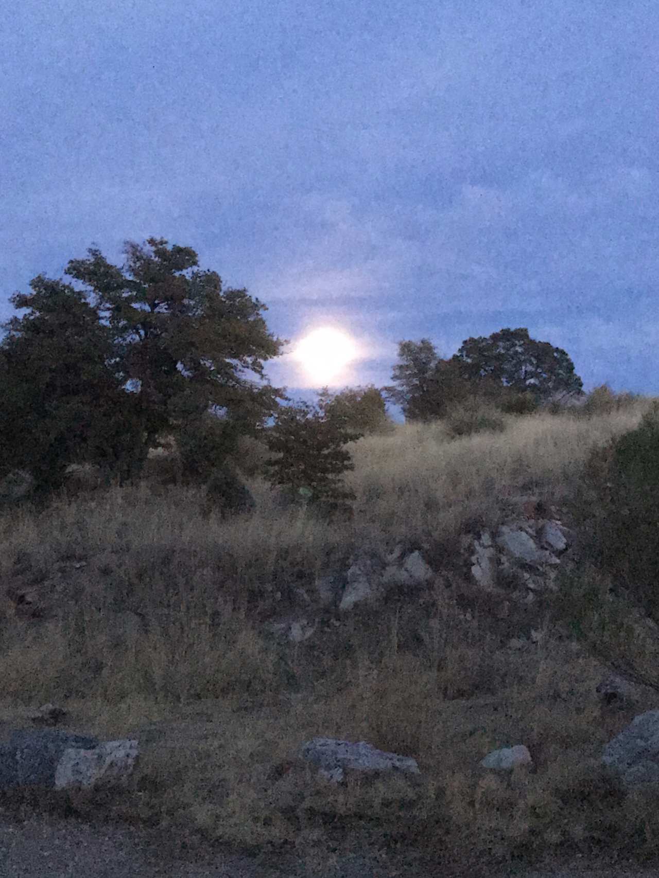 Horrible photo, but I forgot to take more. This was the supermoon rising over the campground. The sunrises were just ad stunning. 