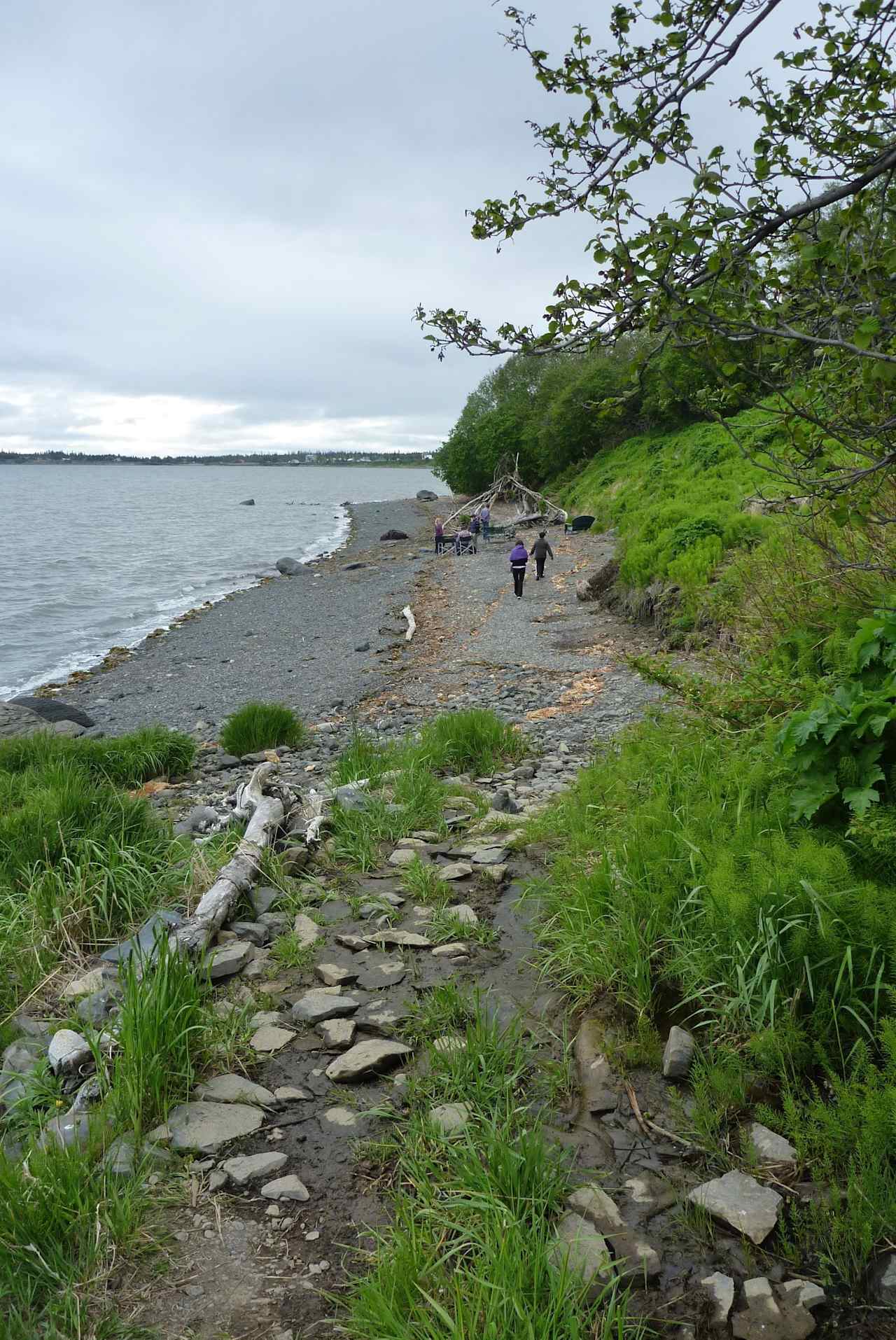 Trail to the peaceful , private wilderness beach 