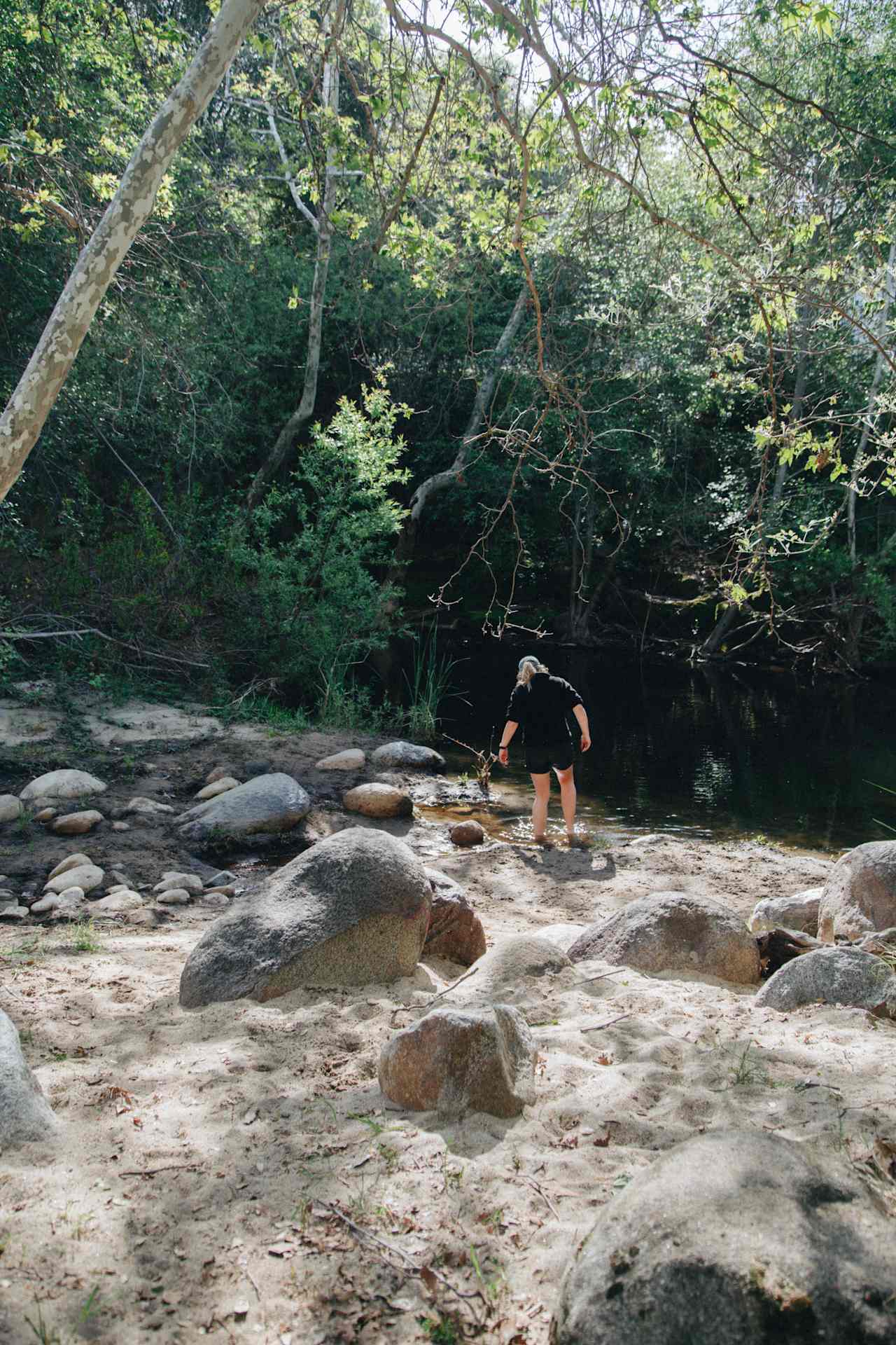 Turtle Flat is just 50 steps from the swimming hole