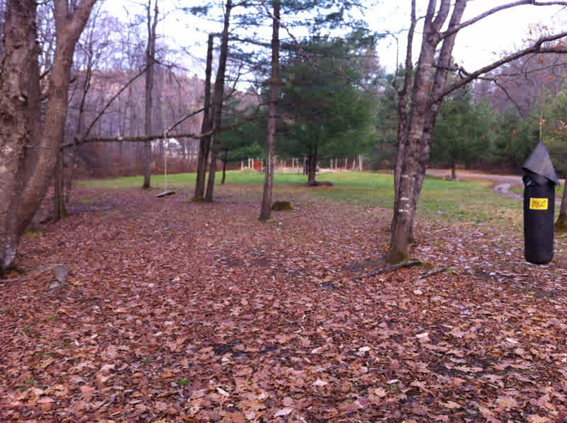 Yard and garden as seen from yurt. Our house is across the brook.