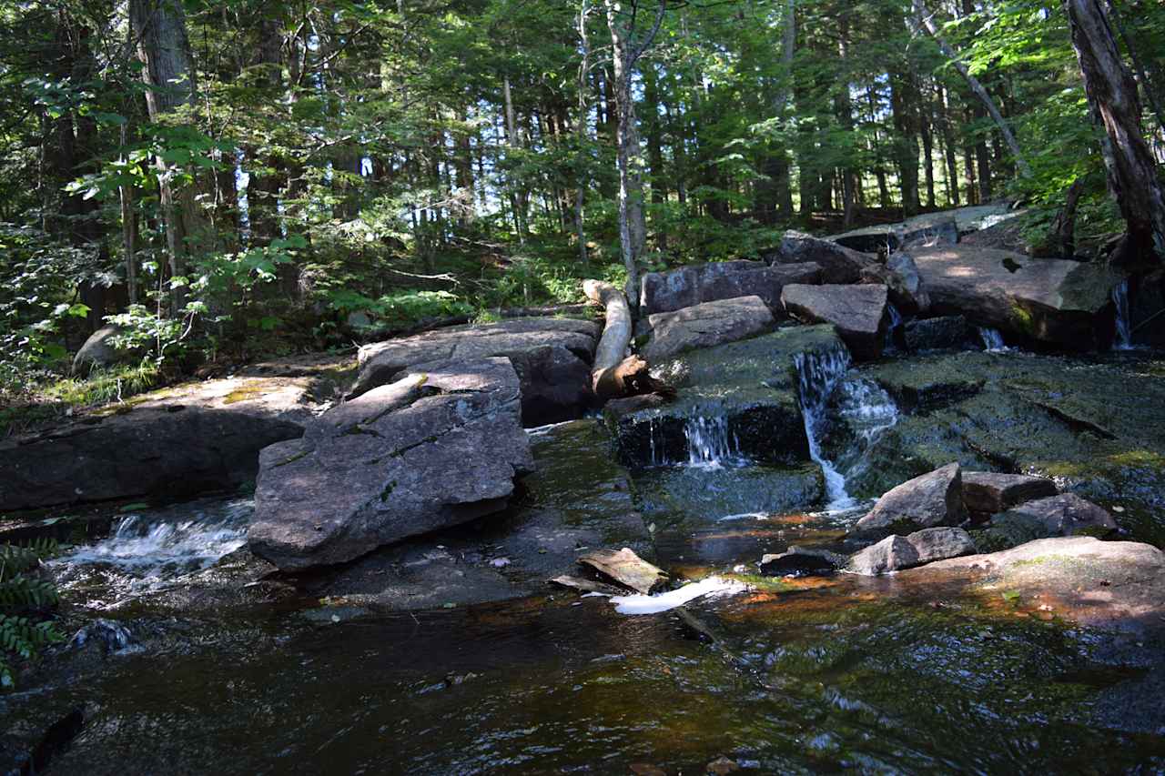 Holcomb Timber Farm