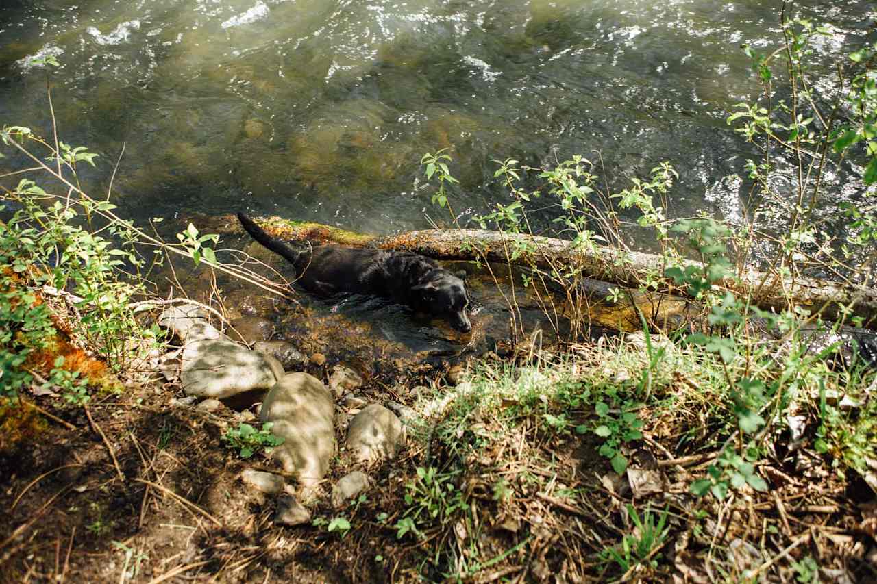 Take a dip in the river during those warm afternoons!