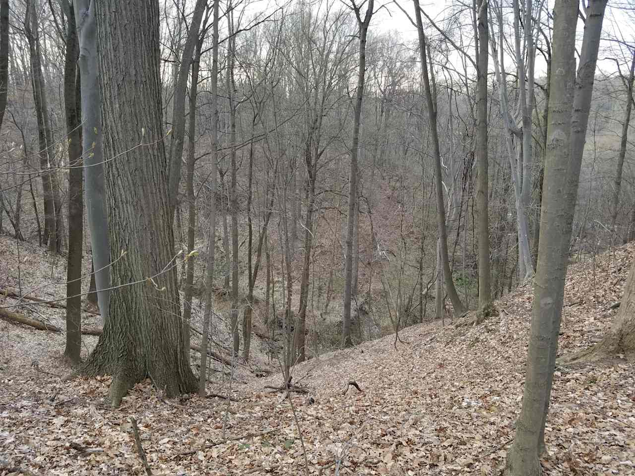 Acres of land overlooking ravine