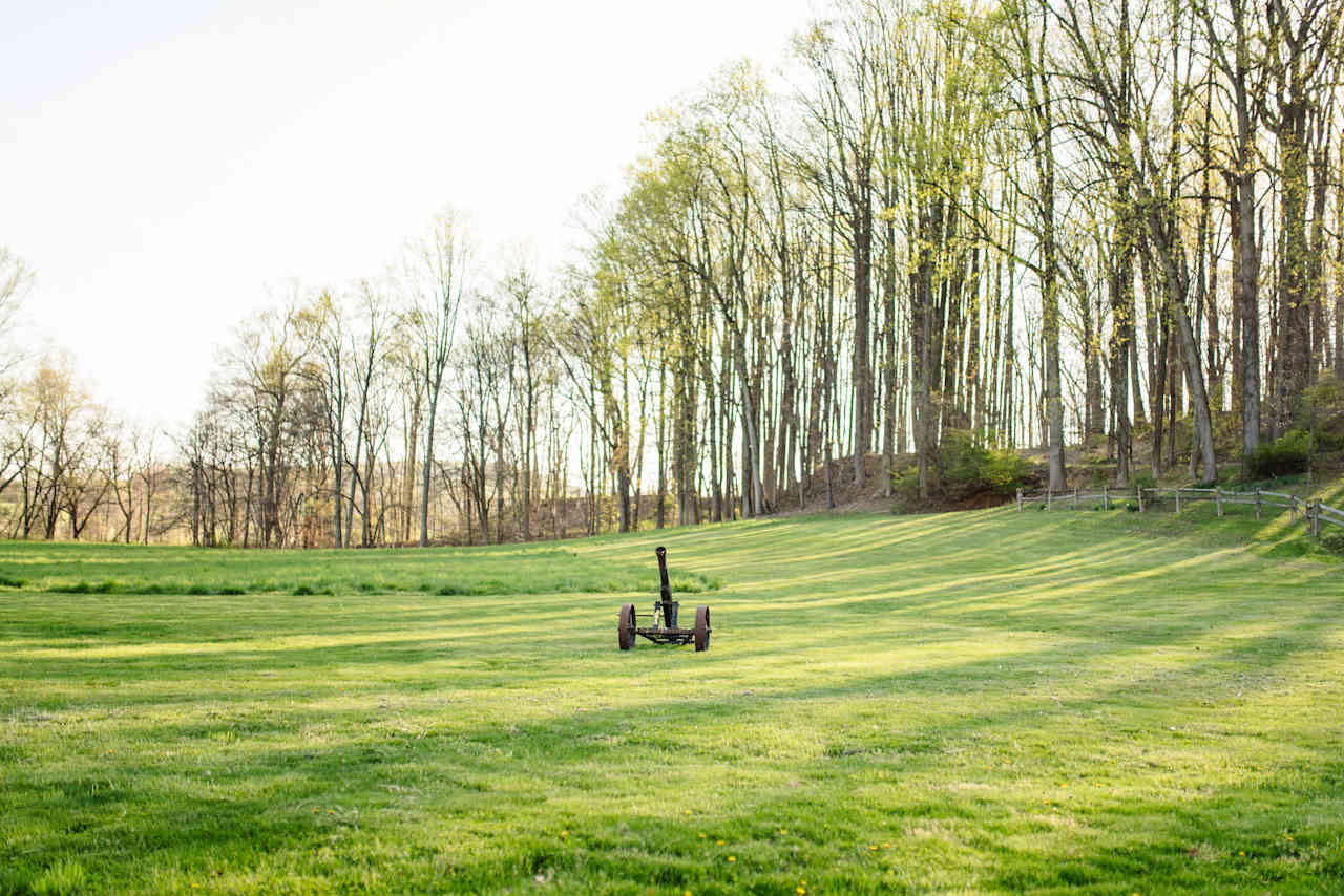 The front lawn is absolutely beautiful!