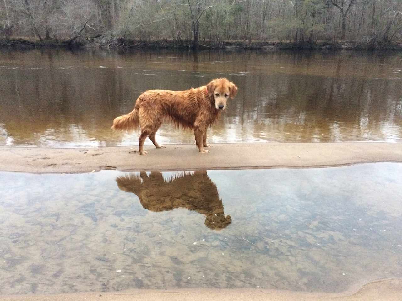 Edisto River Retreat