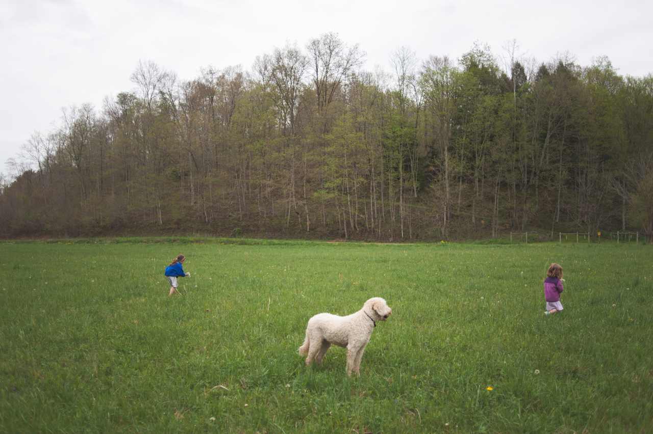 Field was huge for us to explore