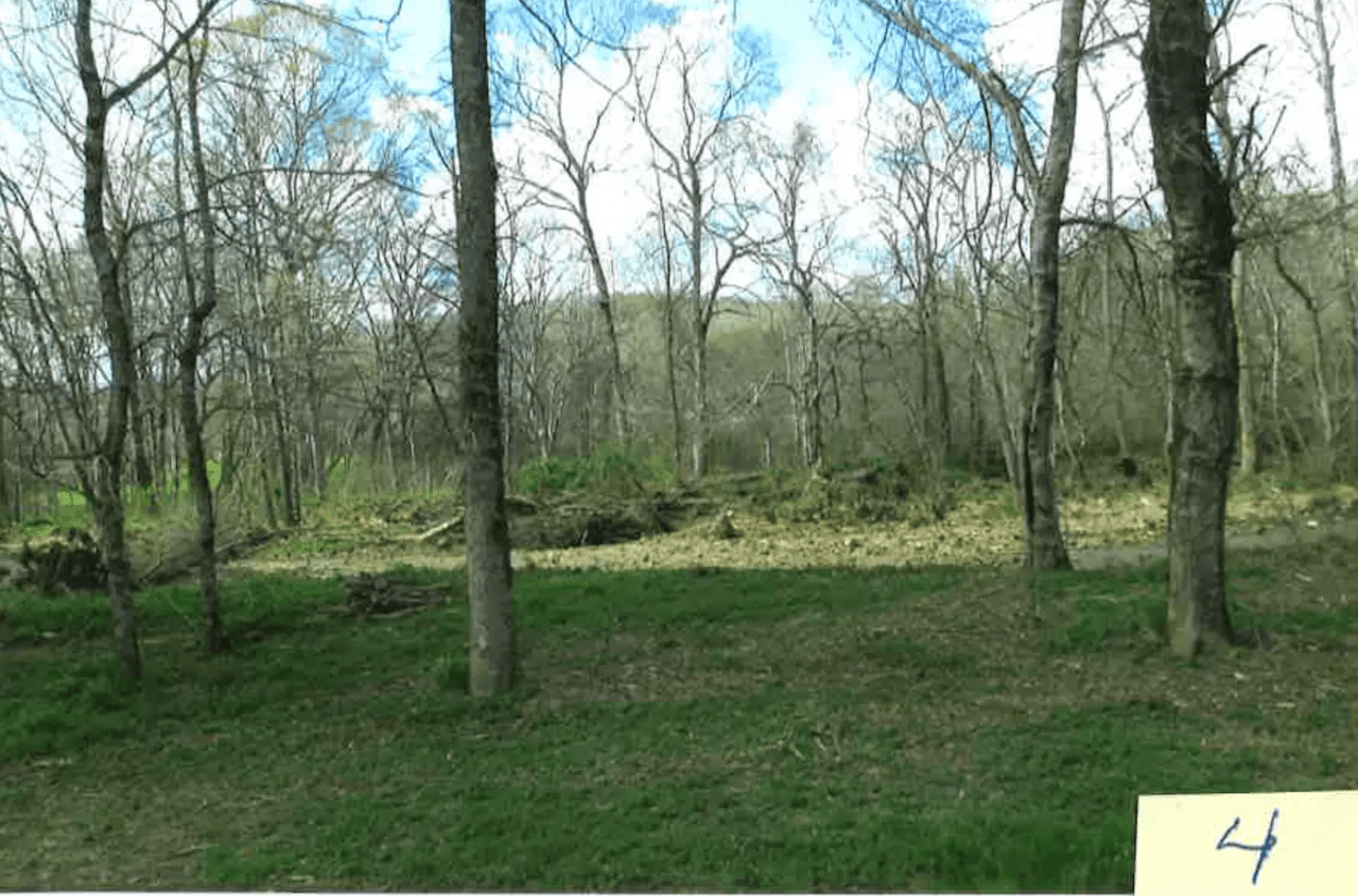 Camping by the Creek