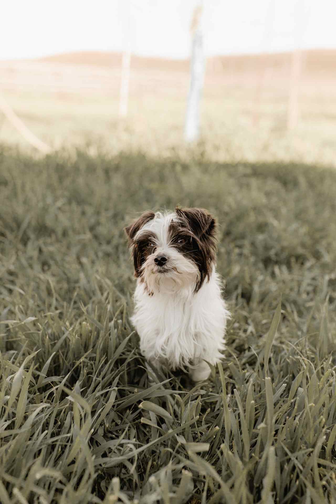 This little guy greeted me when I pulled up.