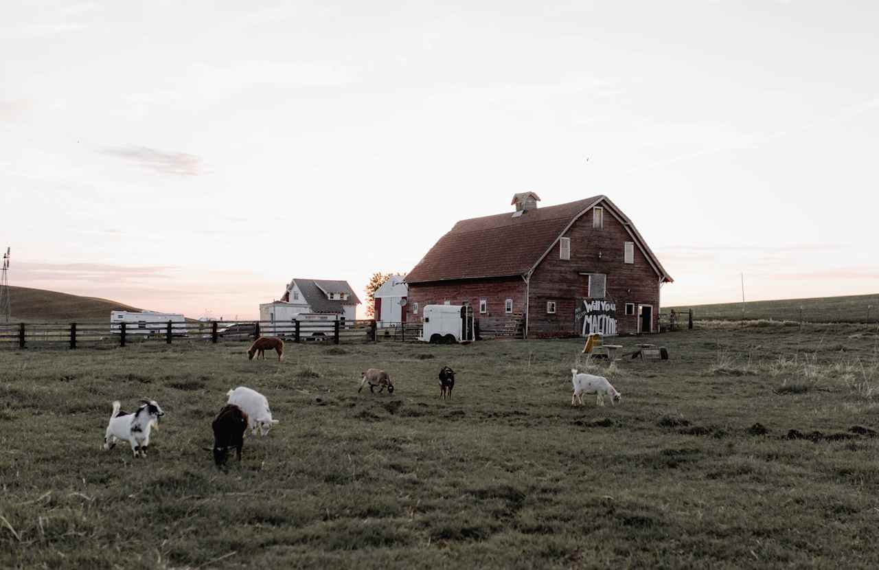 The Old Weber Farm