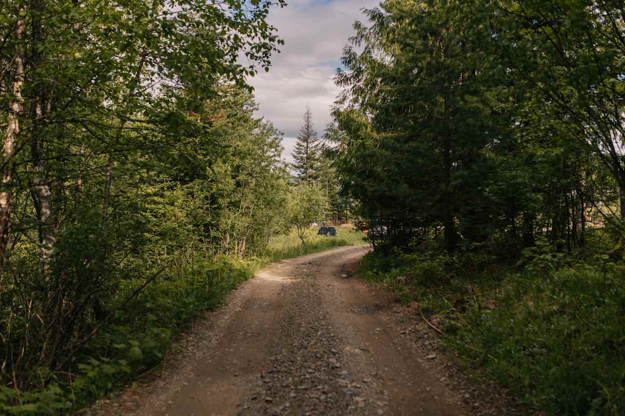 The driveway from the cabin to the rest of the property