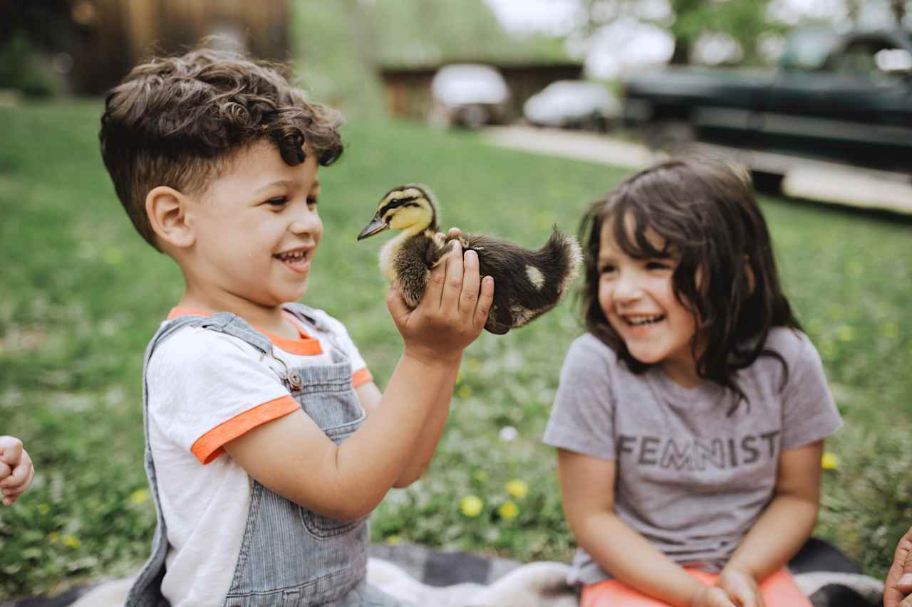 We got to hold baby ducks (with supervision)! 