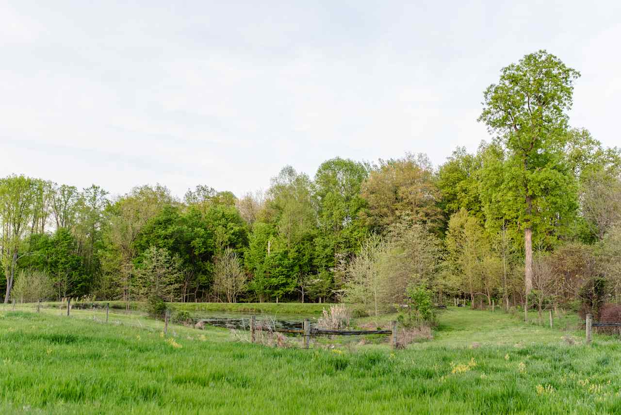 There is also a pond just a short walk from the campsite that is very beautiful and nice to enjoy, sitting by the pond and talking, relaxing, etc.