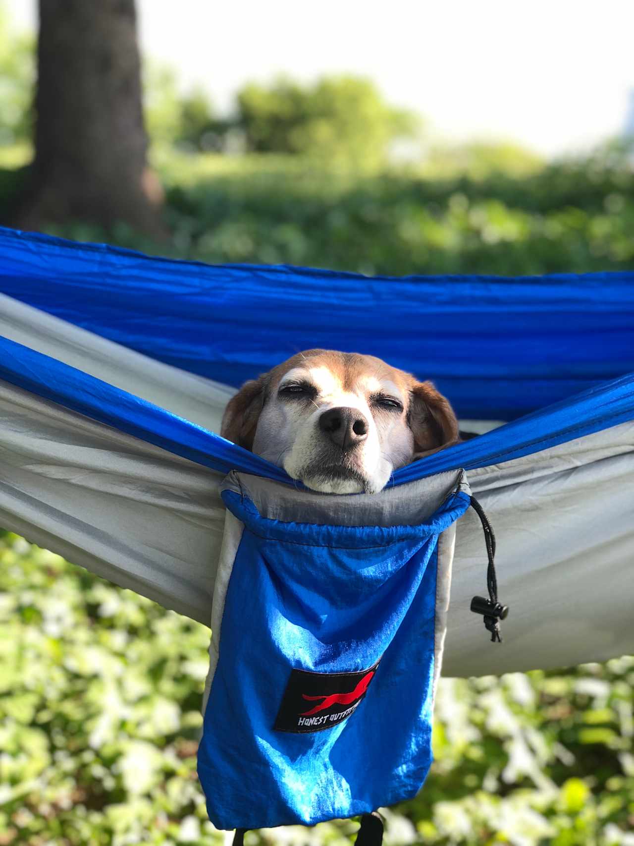 Very peaceful and quiet!