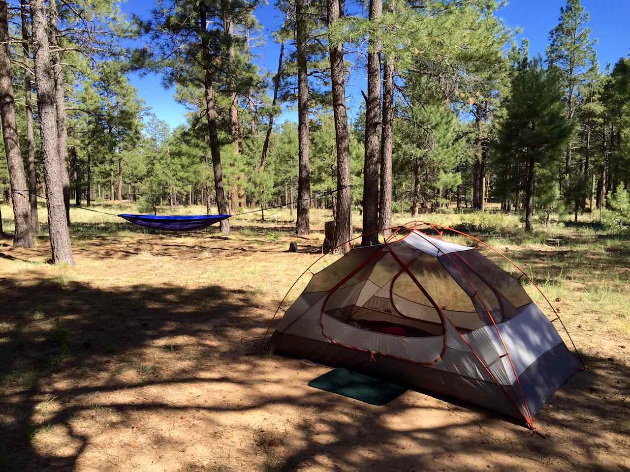 Canyon Point Campground