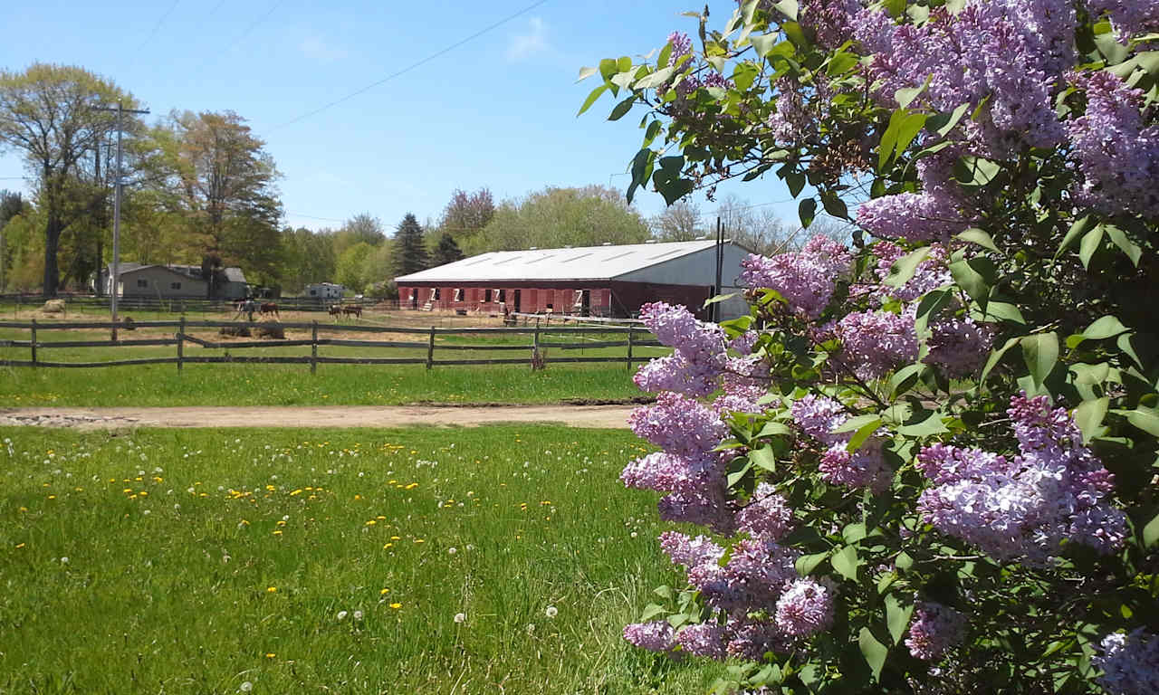 Horse stable