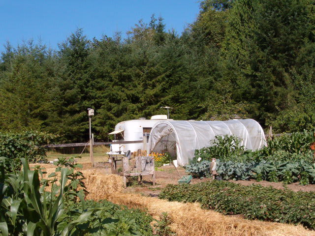 The organic garden