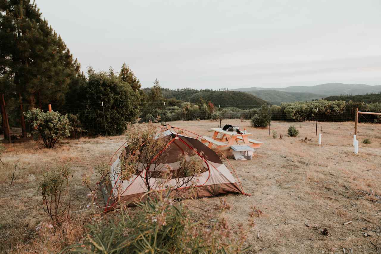 Site 2, overlooking vineyard. 