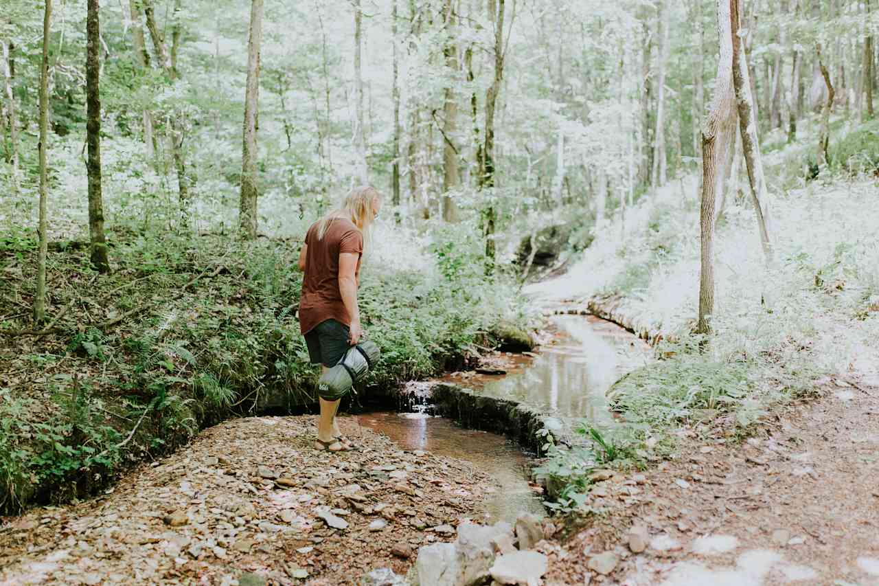 The campsites are right along a perfect little creek.