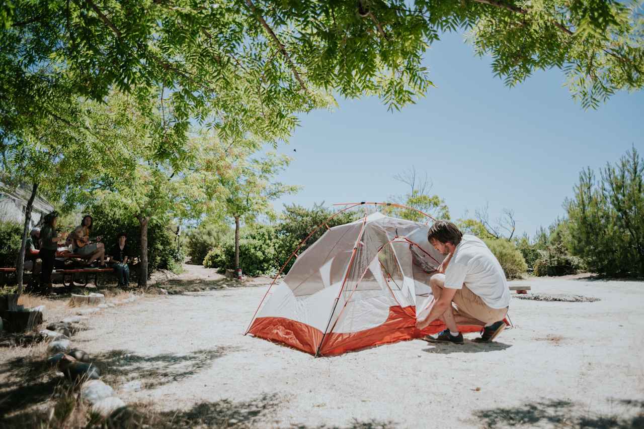 Plenty of room to pick your perfect spot at this campsite. 