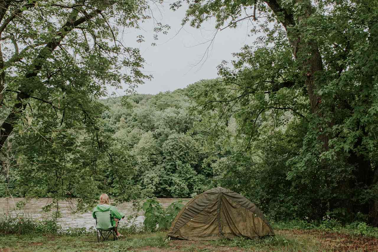 East Woods on the IL River