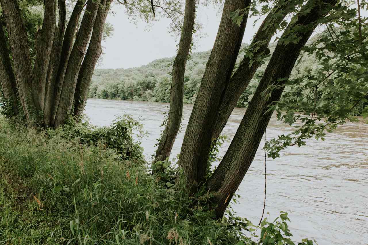 East Woods on the IL River