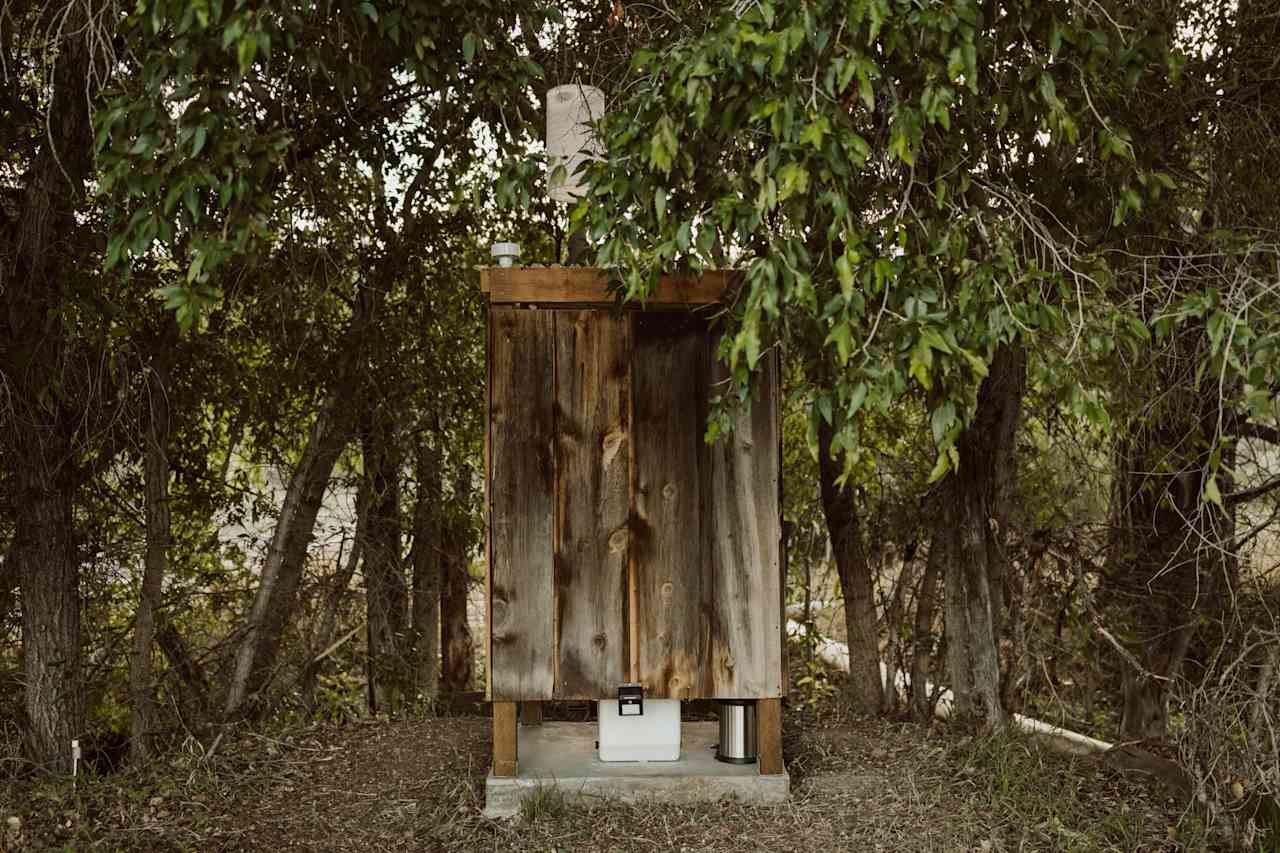 Toilet area hidden by trees.