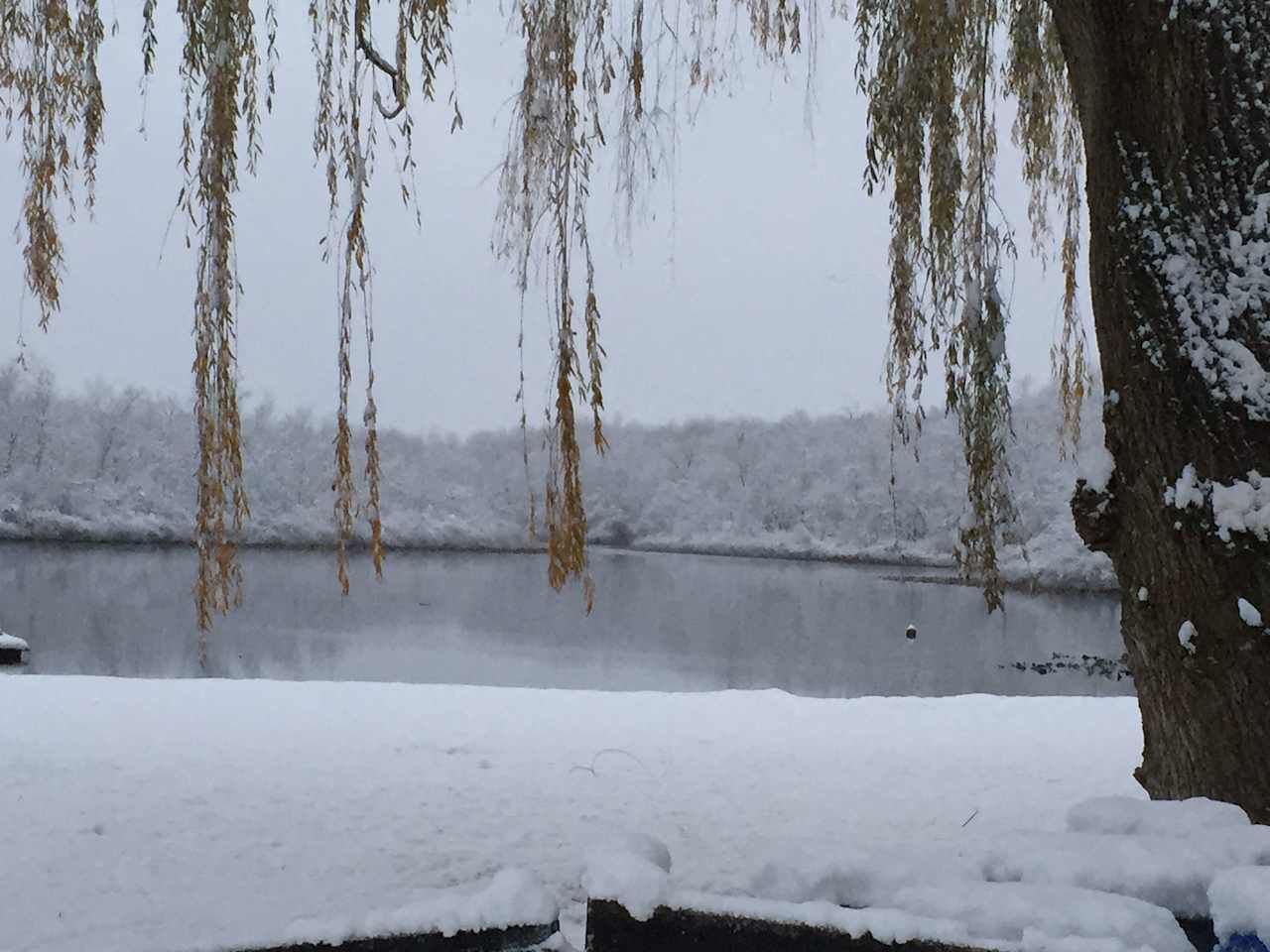 Lake in winter. Beautiful all year long!