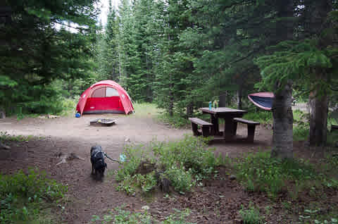 Camp site 004. Near water, bathrooms. On side of the campground. Surrounded by trees. Bring your bug spray and wash bins. Very ashy/dusty ground here.