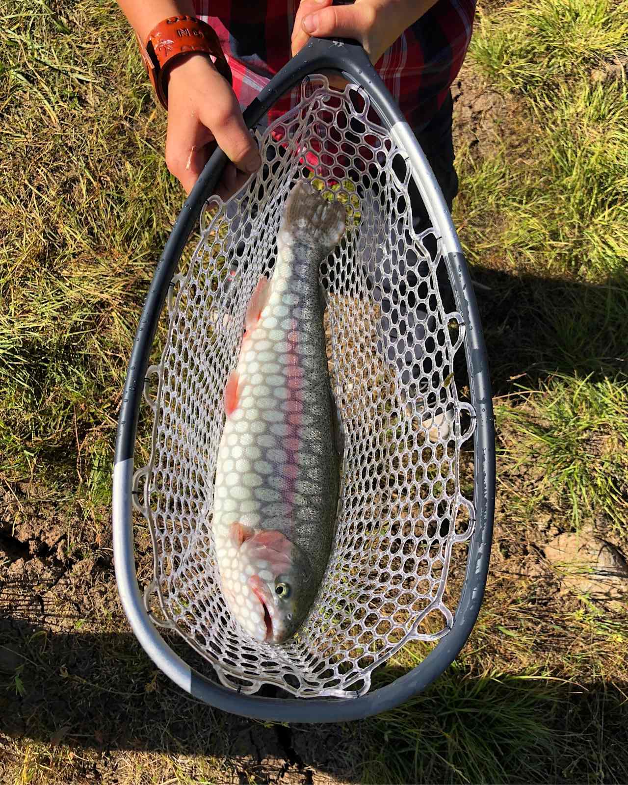 Some lunkers in the small pond about 5 miles south