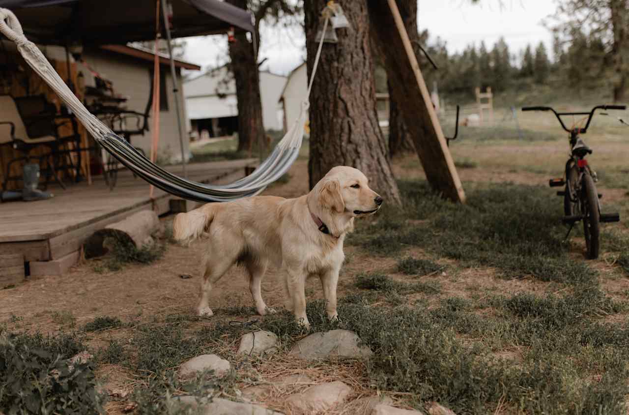 Tombstone Ranch