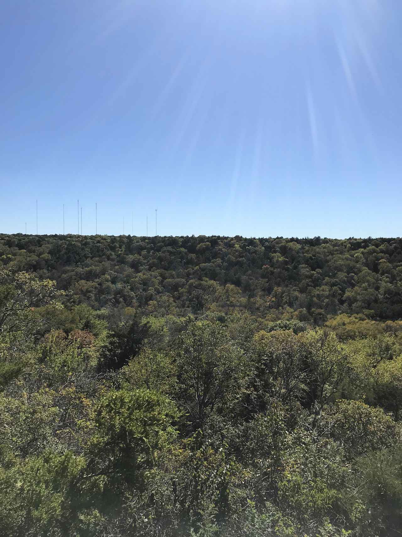 Lake Mineral Wells Primitive Campground